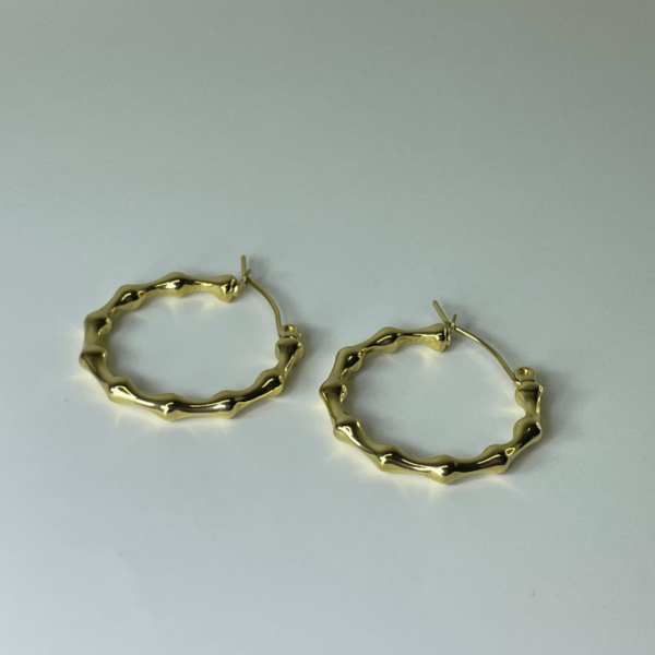 Boucles D'oreilles Cerceau