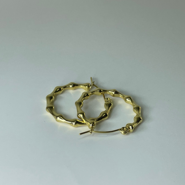 Boucles D'oreilles Cerceau - Image 2